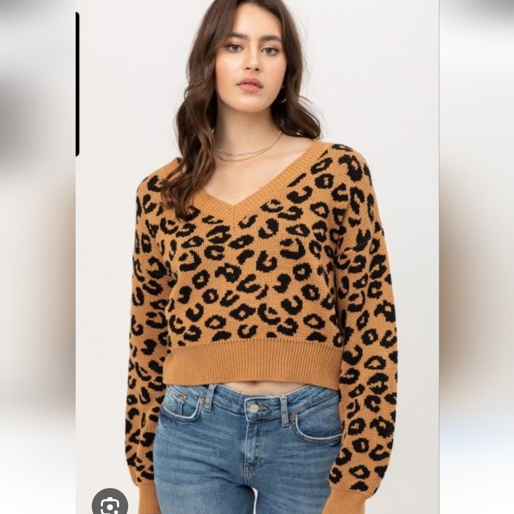 Wild Honey crop leopard sweater